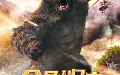 金刚归来